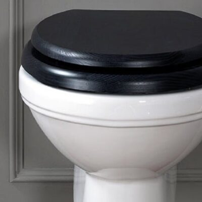Empire Art Deco Wall Mounted Toilet - Image 2
