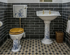 Remarkable Toilets