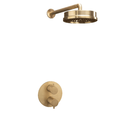 MPRO Industrial Shower Valve with Shower Rose