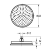 Liberty Brass 225mm Shower Head