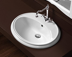 inset-basin-cat-image