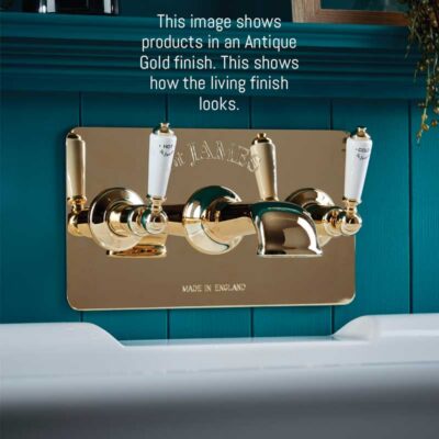 St James Antique Gold 18mm Shower Arm & Rail - Image 2