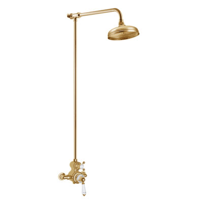 Antique Gold Exposed Shower