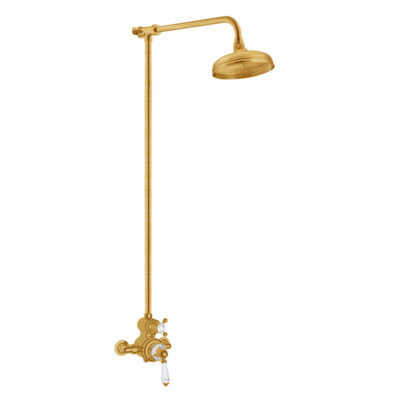 Brass Exposed Shower