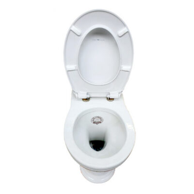 Thomas Crapper Venerable Back-To-Wall Toilet (Pan Only) - Image 5