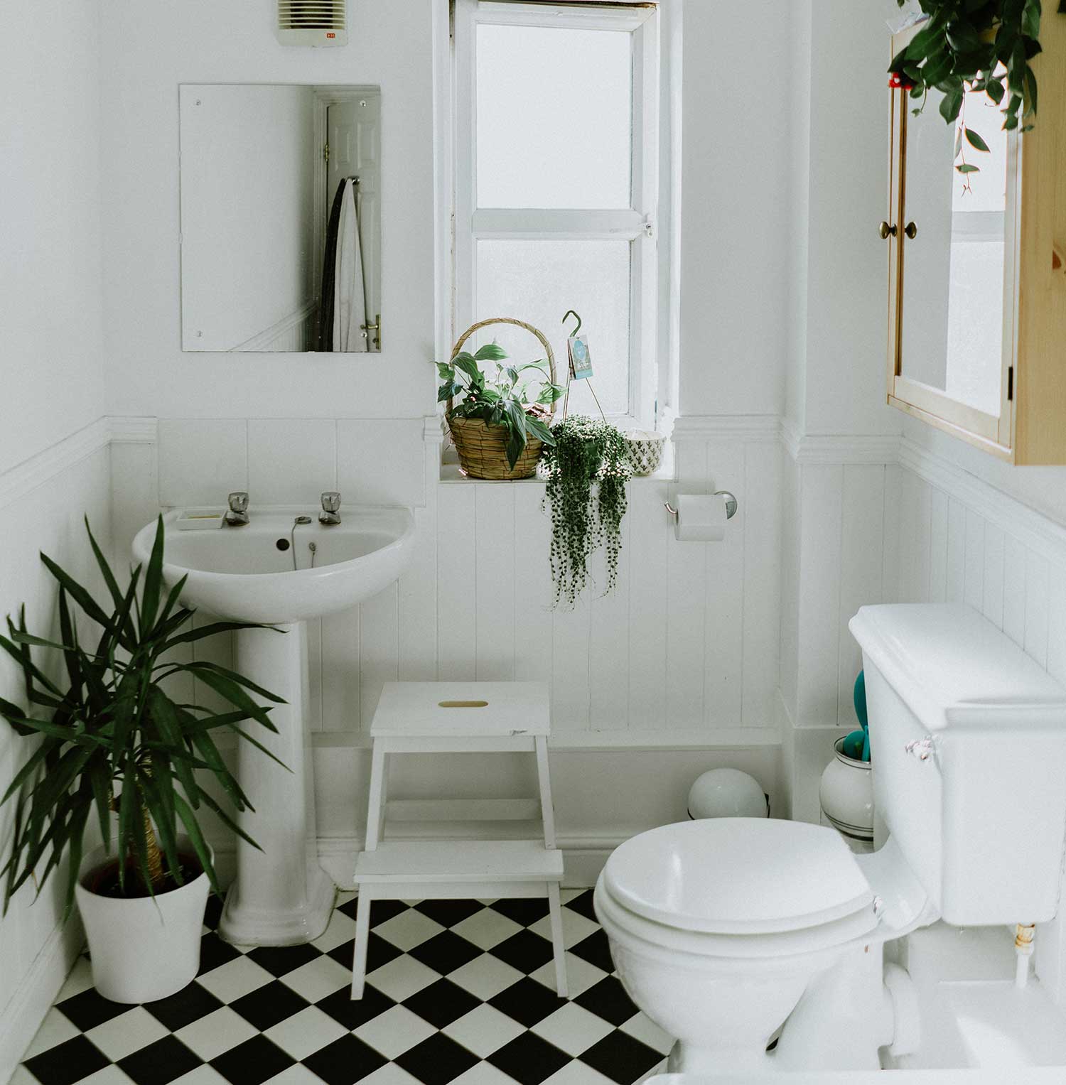 Bathroom-inspired-with-plants