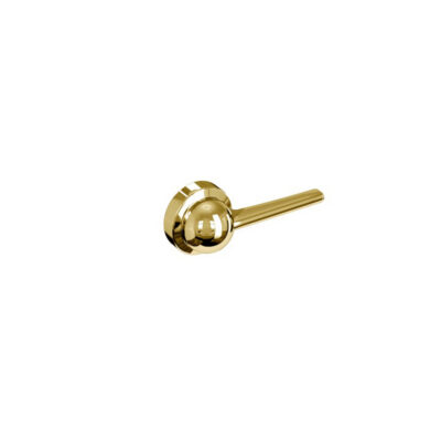 ARCSP6-GOLD-Riviera- Cistern-Flush-Lever