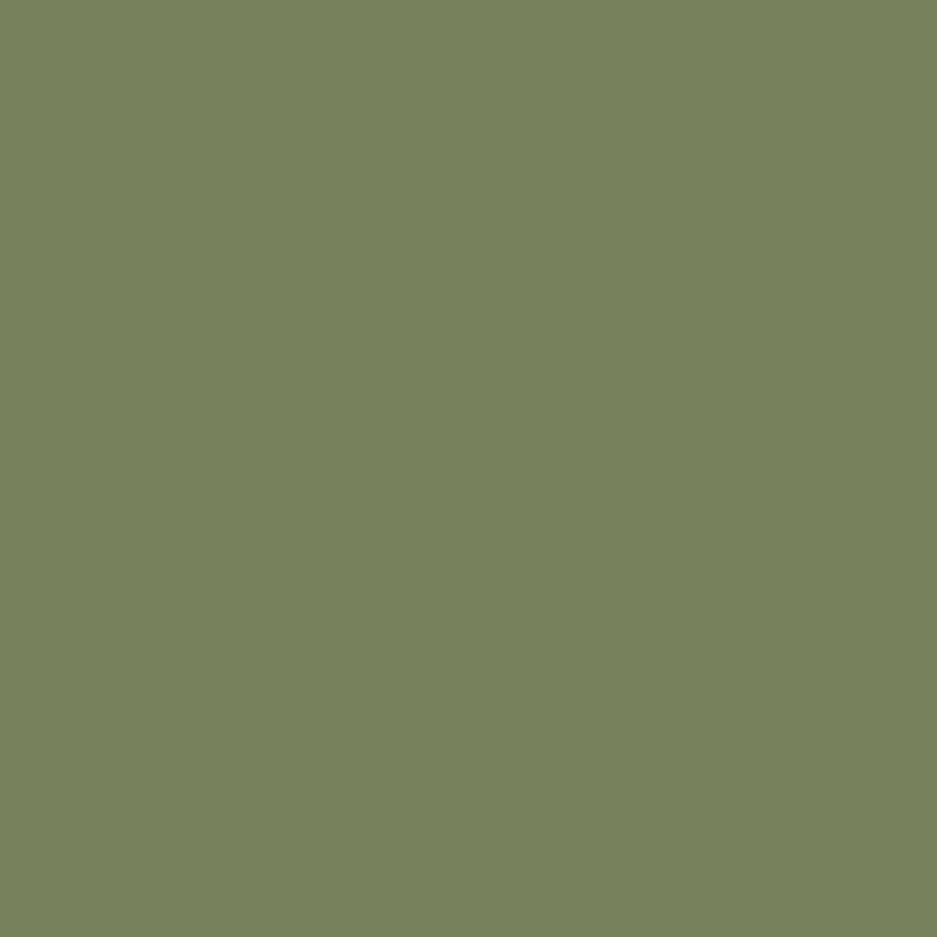 Little Greene - Sage Green